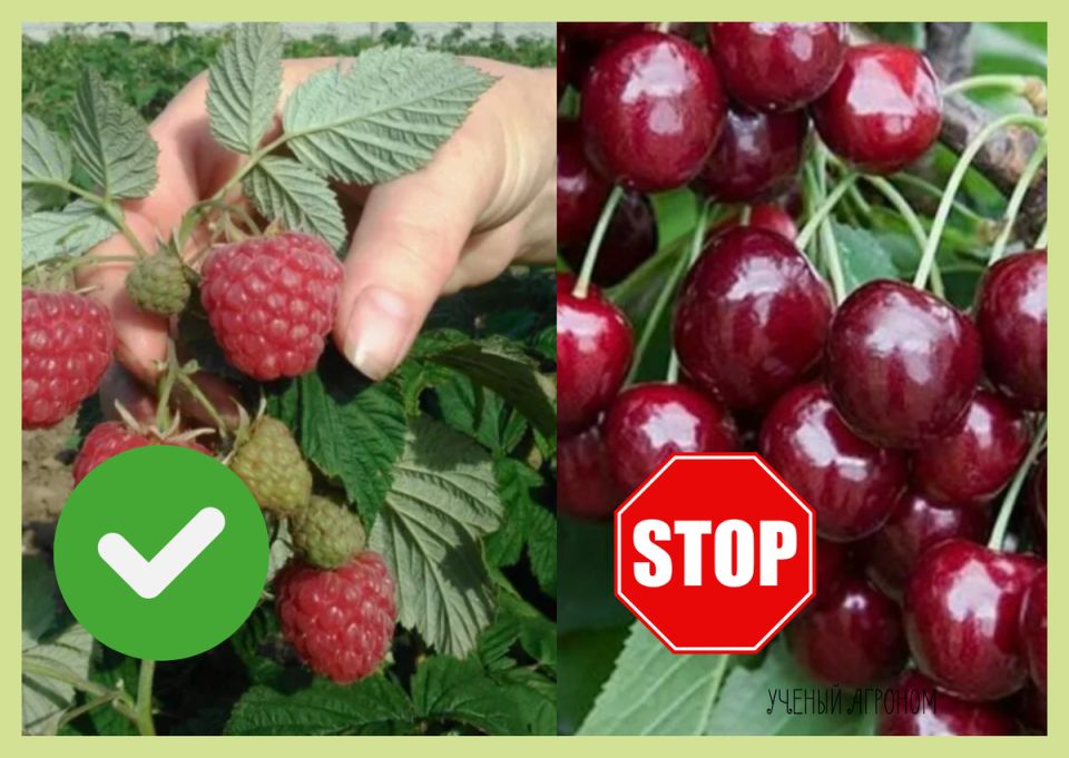 ���������� ����� � ������������ �������: ���� � ����������