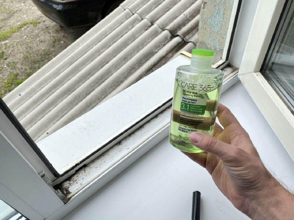 ��� ������ ������� ������� ������� ����� � ������� ������ �������� �����������