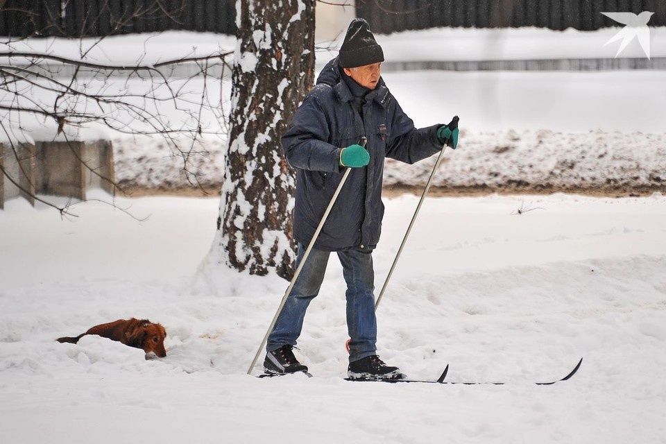 ��� ��������� ���������� ������� � �������: ����������� �� ��������