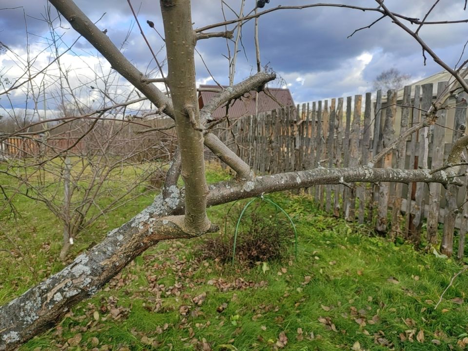 ������� ������ �� ������: ��� �� ���������� � ������ ������