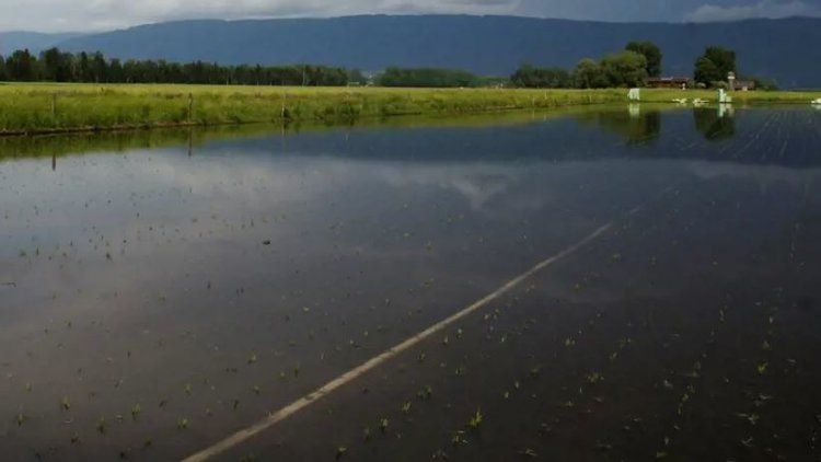 ����������� ���: ��� ��������� ������������ ������������� ������