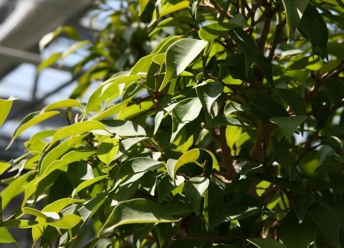 ��� ���������� ����� ���������� ��� ������������ ������