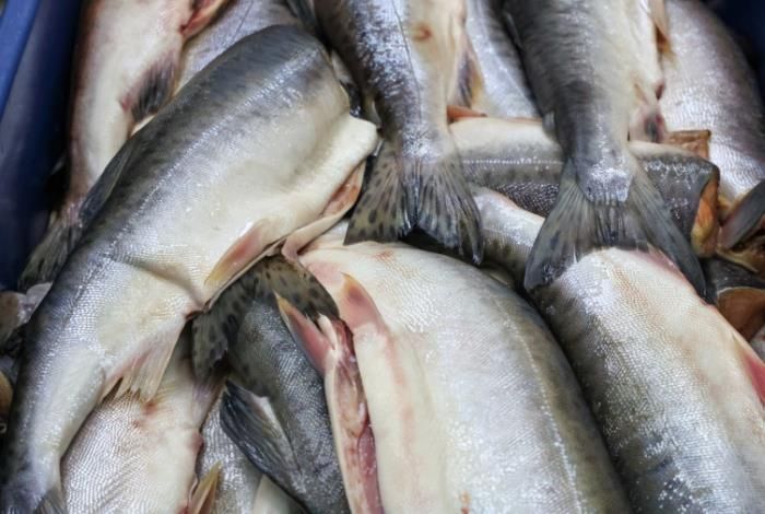 ������� � ����� �������� ����� ����� ������� ���� �� ������ ����������������