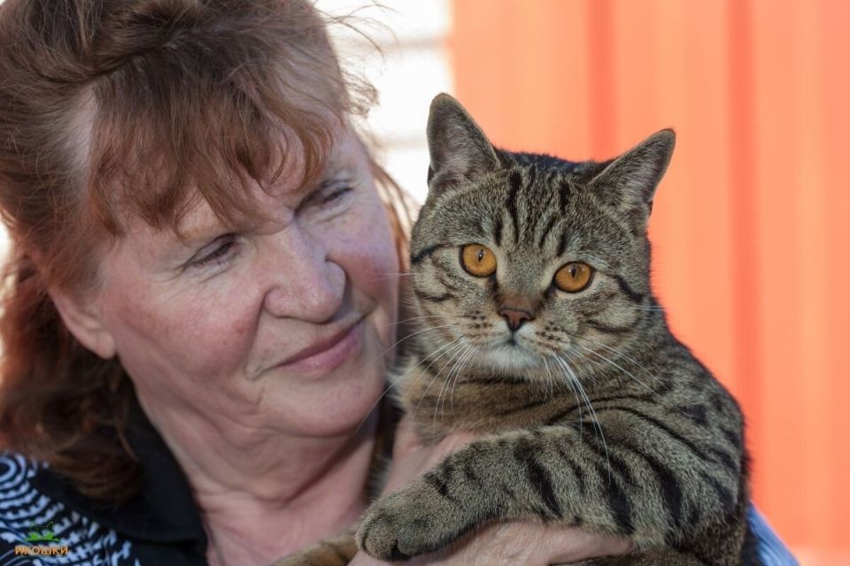 ��� ��������� ������ �����: ������� ����� � ������ �������