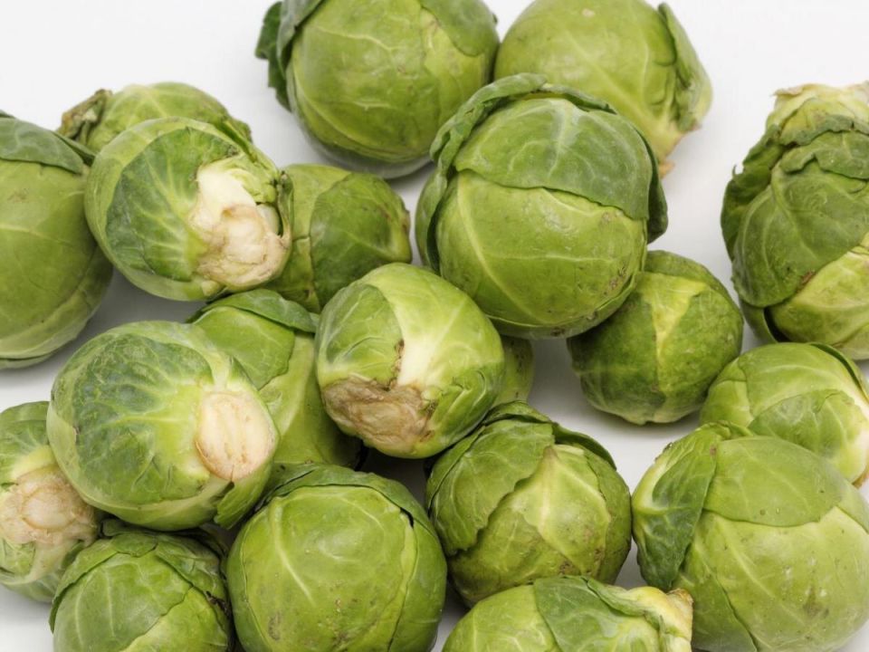 ������� ��������� ����������� ������������ �������: �� ������� �� ������