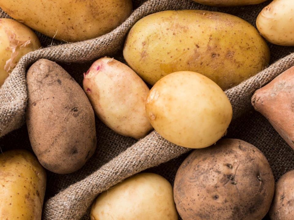 ���������� �� ������ ���� ��������� � ������ �����������