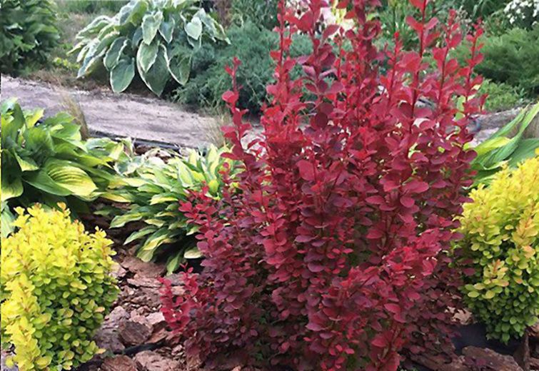 ���������: ��� ��������� ������� �� �����