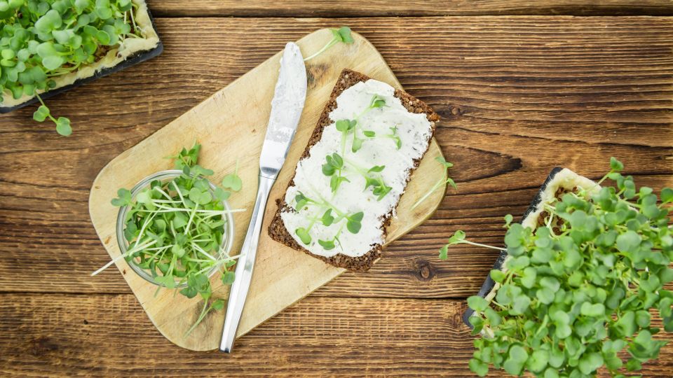 ��������� ������� �� �������� �� ����� ������: ���������� ������ � ��������� �� 10 �����