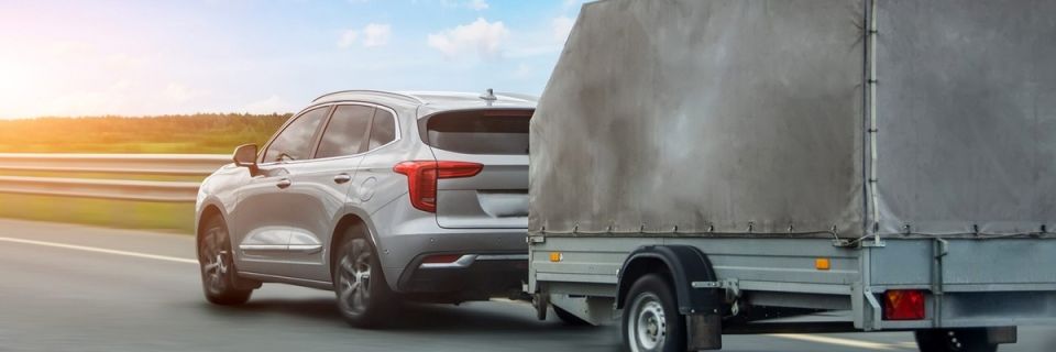 ���� � ��������: ������ � ������� ��� ���������� �������� �����������