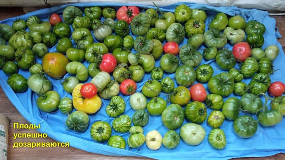 ����������� �������: ������� ������ ��� ������ ������