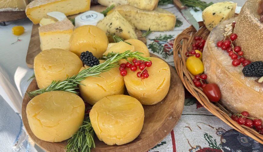 ������ ������ ������� ����������� ���� ������