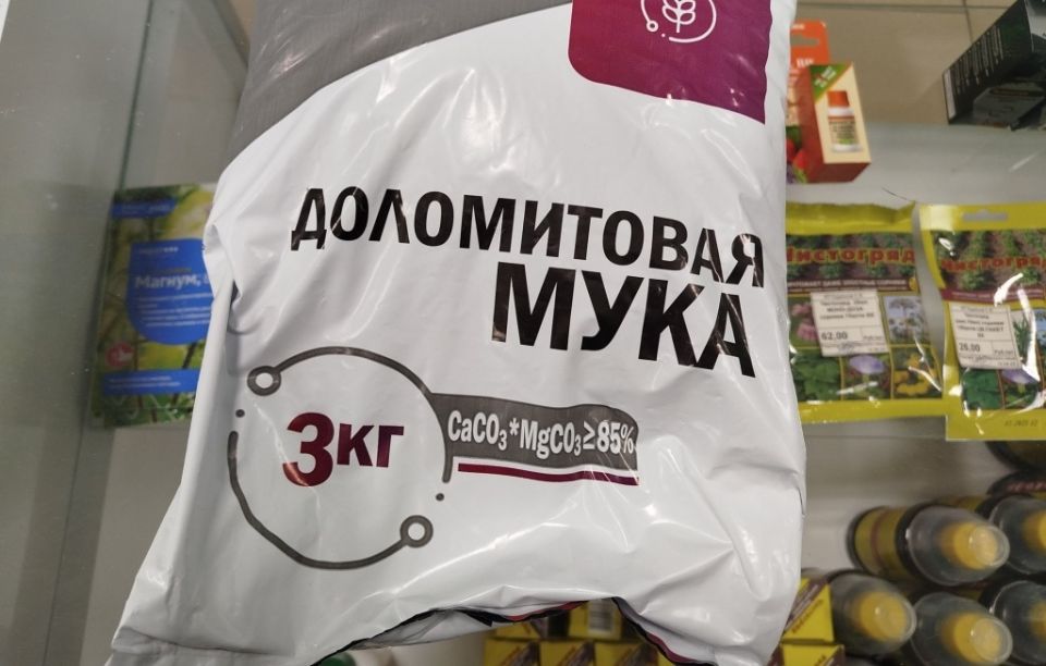 ��� ������������ ����������� ���� ��� ��������� ����� ������ � ������