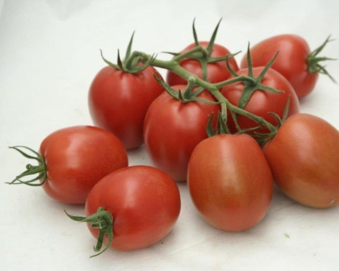 ����� �-34: �������� ������� � ����� �������