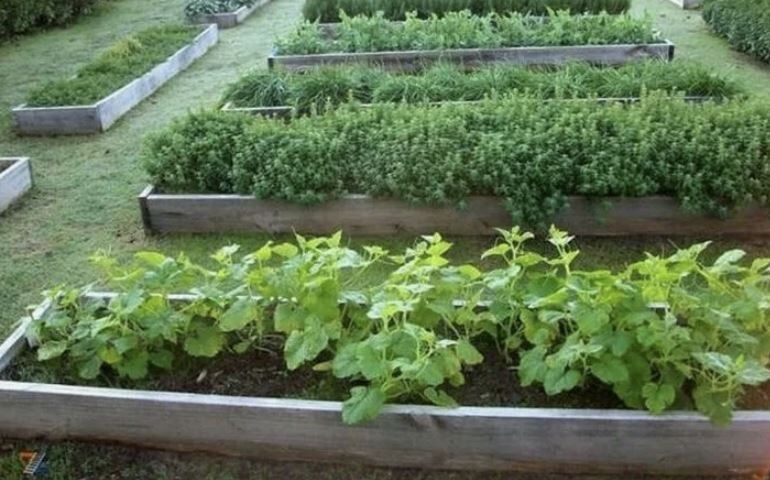 ��� ������� ��������� ������ ��� ����������� ����