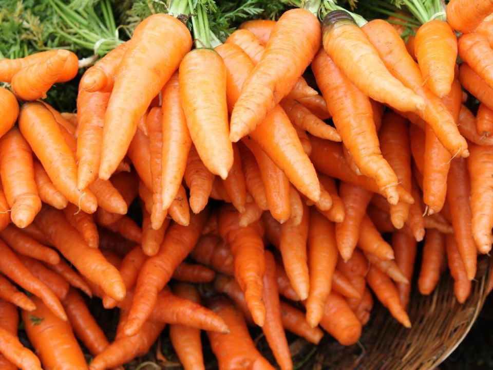 ��� ��������� ��������� �������: ������ �� �������������� ������