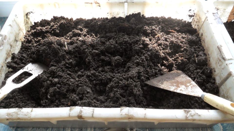 ������ ��������������� ����: ��� �� �������� ���� �������