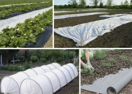 Как выбрать идеальный укрывной материал: спанбонд, лутрасил и агроволокно на службе у огородников