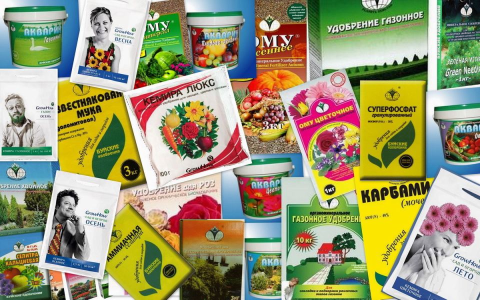 ��� ������� ��������� �������� ��� �������� �����