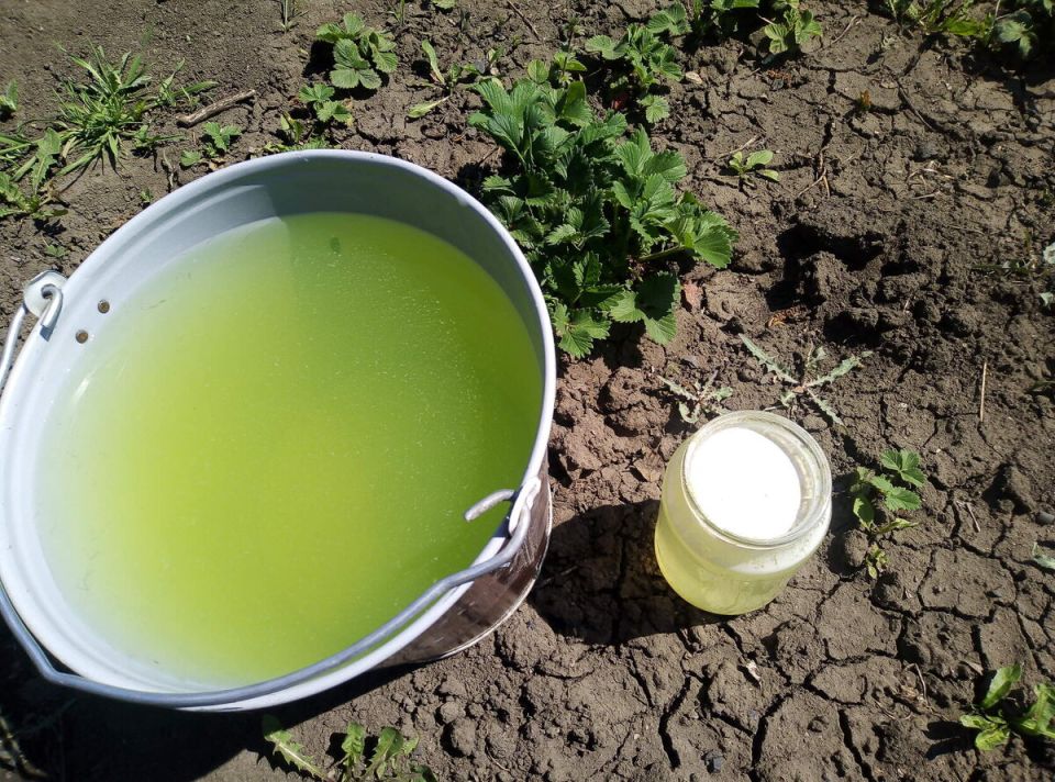 ��� �������� �������� �� ������� � ����� � ������� ����������� �������