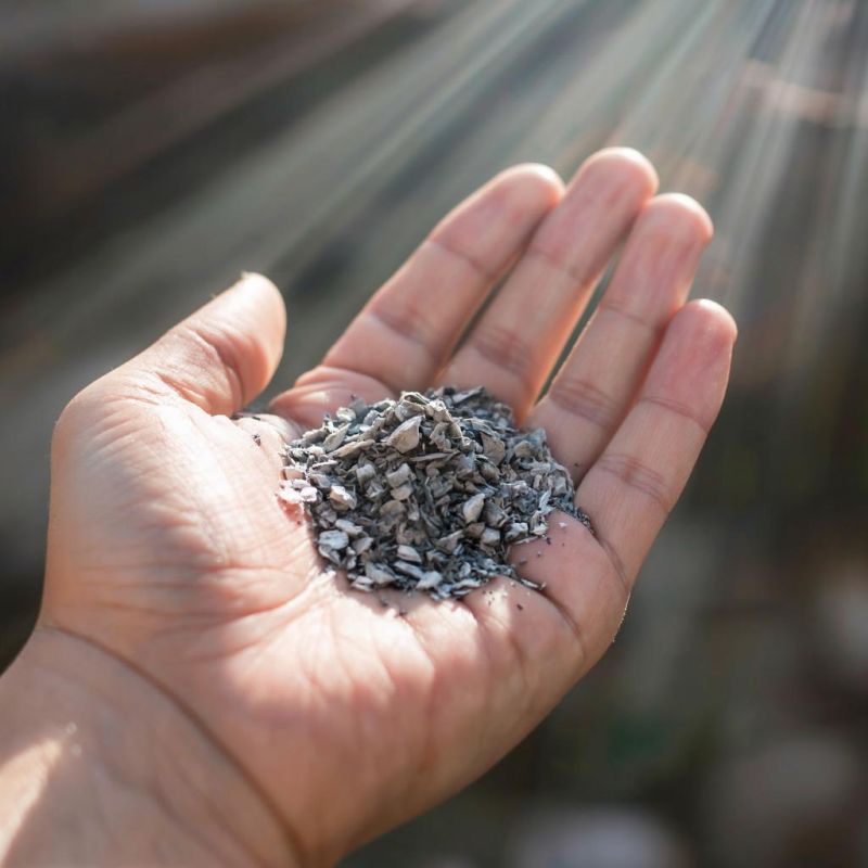 Пепел и урожай: неожиданные риски использования древесной золы