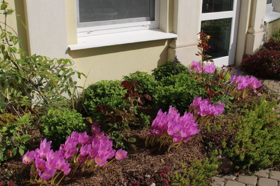 ��������� �������� ��� ������������� � ����� ����