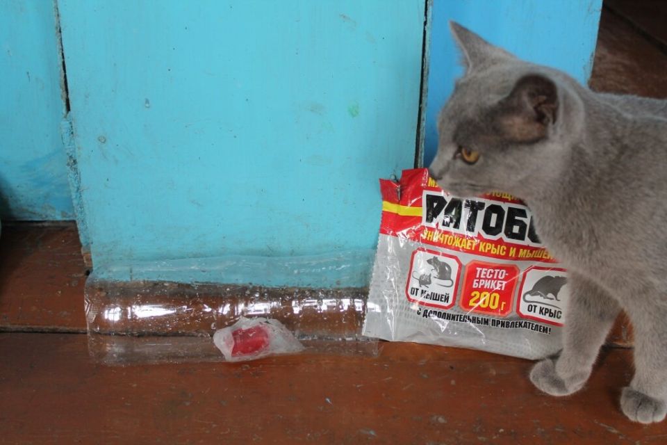 ����������� ������ ������ � ������� � ������ � �������������