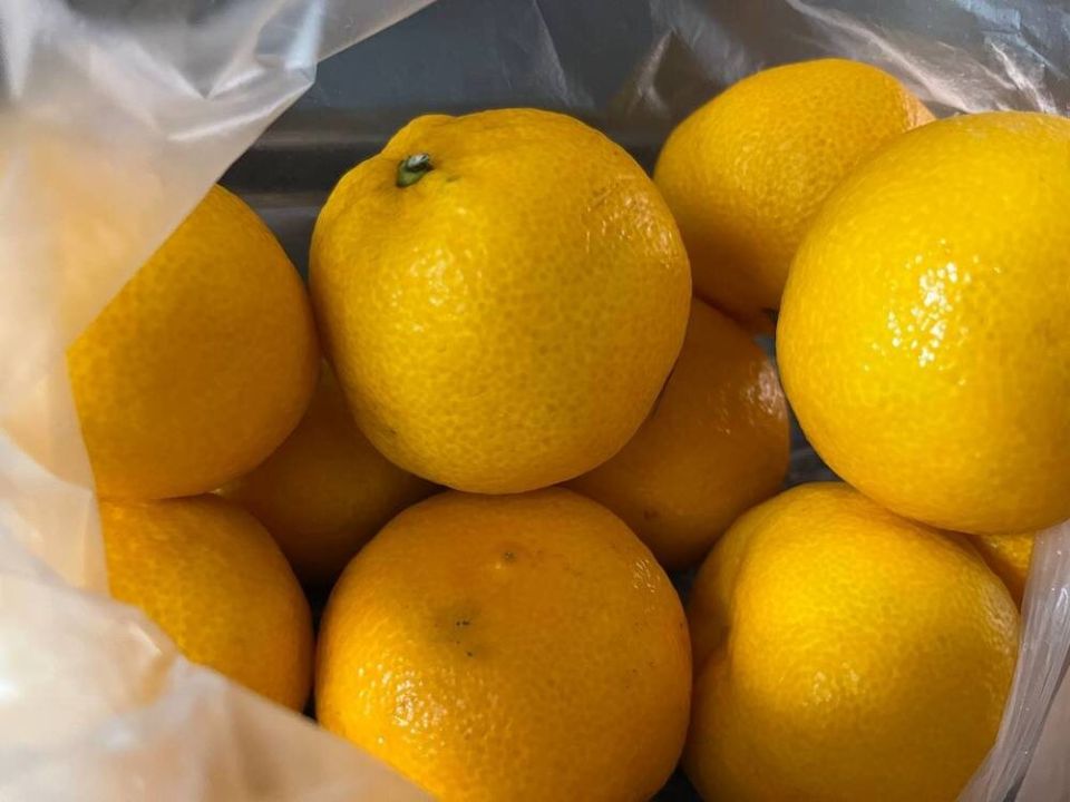 ����������� �������� ������������� � ������� ����������: ��� ������� ������������ �����