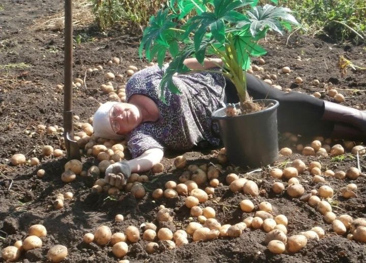 �������� ������ ��������: ��� �������� ������ � ��������� ������