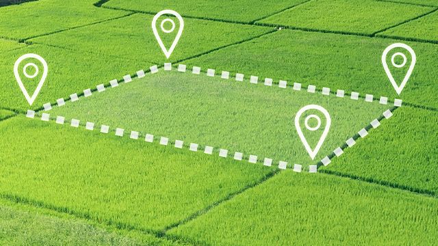 ������ ������ ����������� ������: ��� ���������� � 2026 ����