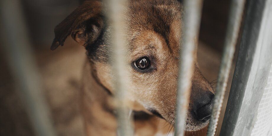 �������� ��������� ������ �� ������������� �������� �������� ��� ������