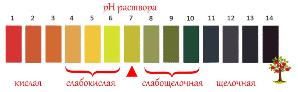 ��� ���������� ����������� �����: ����������� ���������� �����