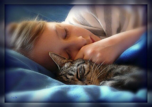 Как заменить снотворное и крепко уснуть