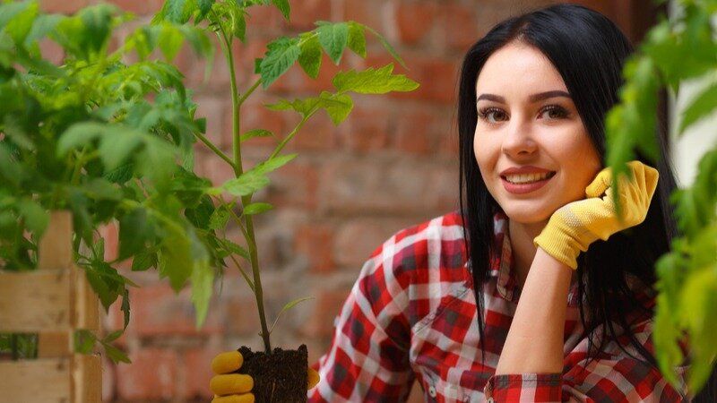 ��� ��������� ������������� �������� �� ����� �������� ��� ������������� ������