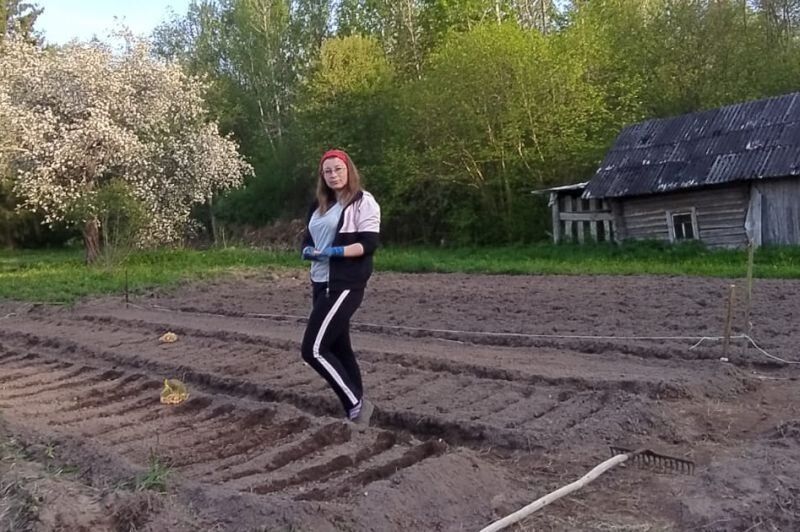 ��� ��������� ����������� ����� �� �������: �������� � ������������