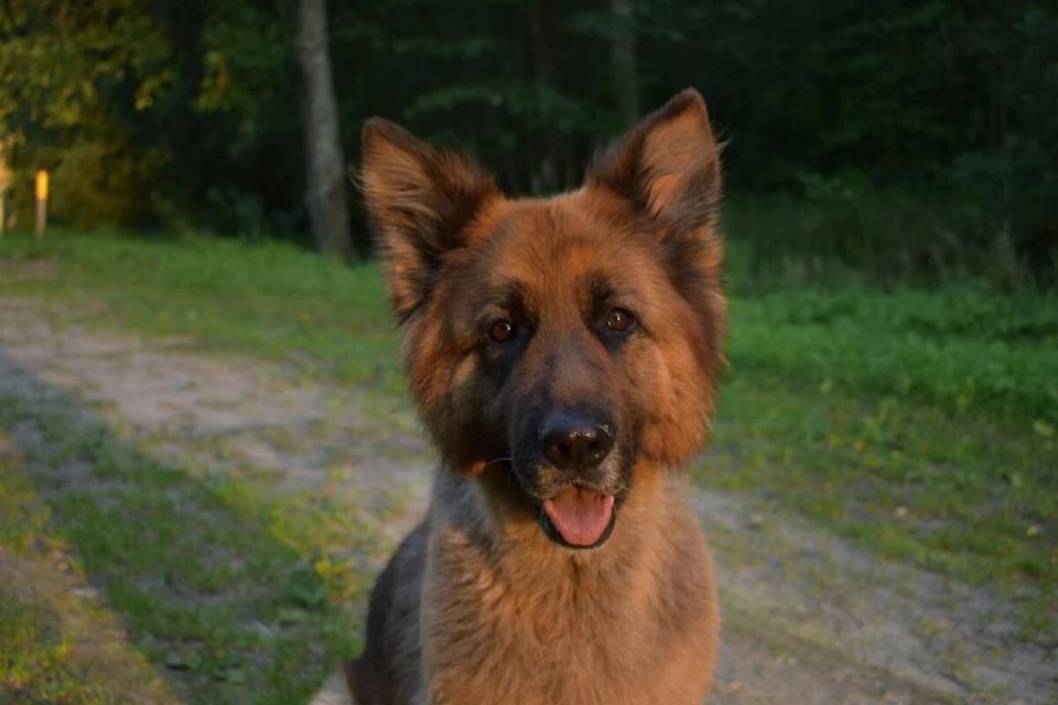 ����� �� ������ ��������: ��������� ����������� ����