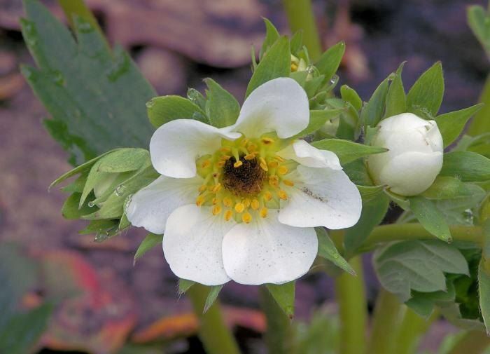 ������ ������ �������� ������ ����� � ��� ��� ���������