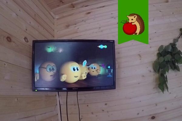 Как правильно оставить телевизор на даче зимой: советы и рекомендации