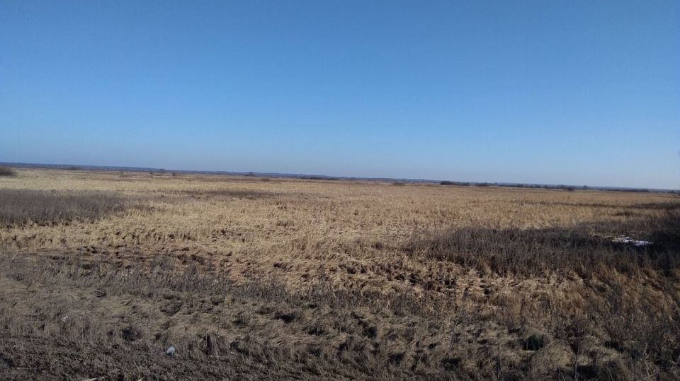 Какой весны ждать в этом году: приметы и новости из садов