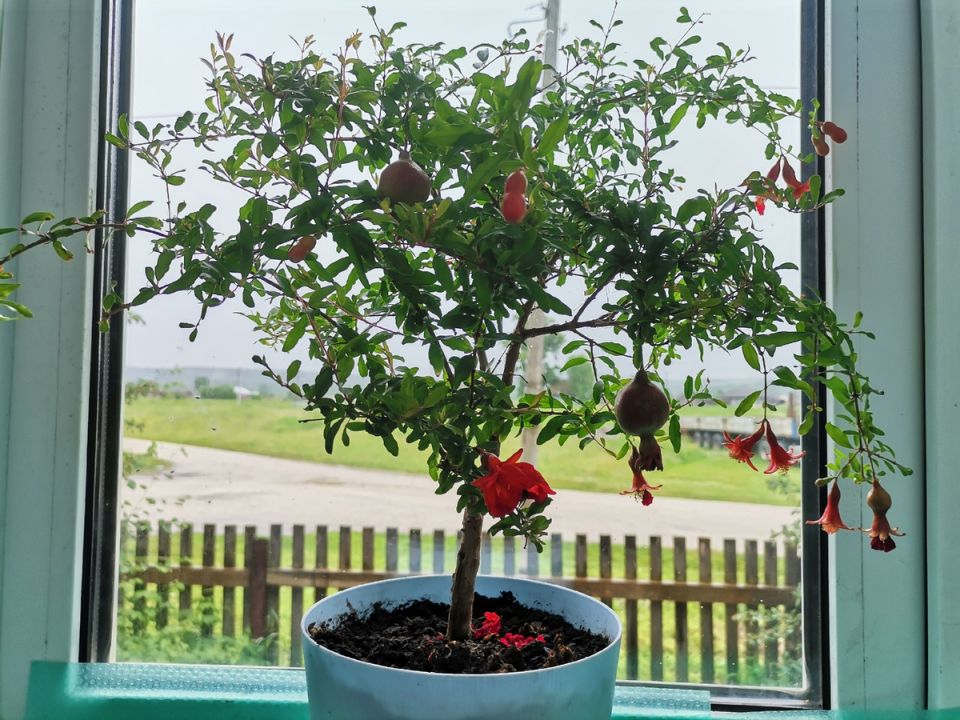 ��� ������� ���������� �� ����������� ������� ������� ����������� ��� � �������� �������