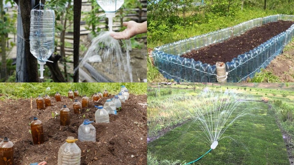 ��� ����������� ������� �������� ���������� �� ������ ���������