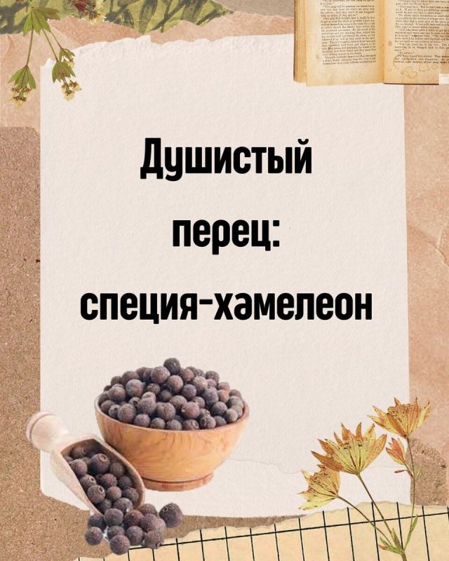 �������� �����: ������������ ������ � ���������� ����������