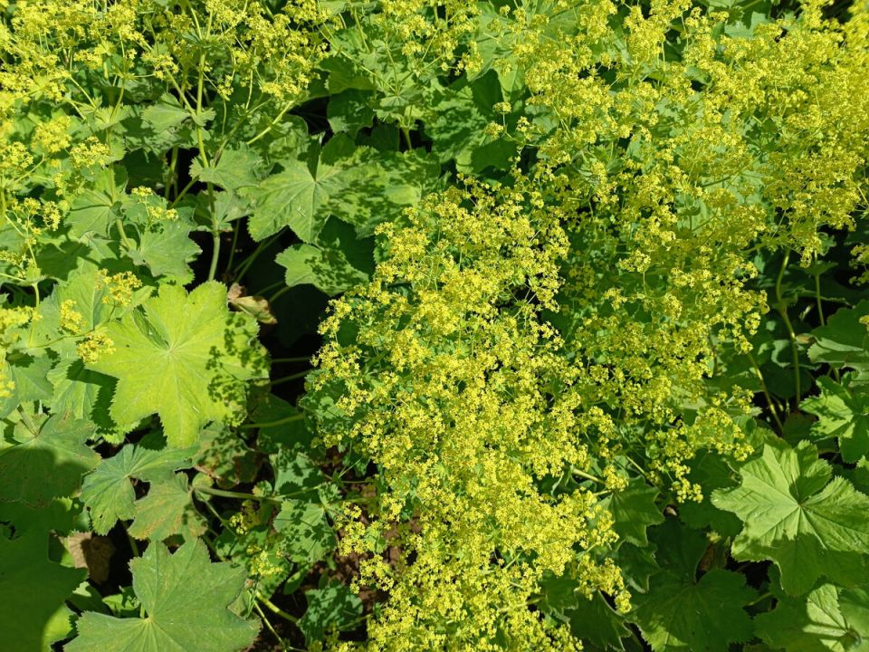 ����� �����: ������������ �������� �������� � �� ����� � ����� ��������