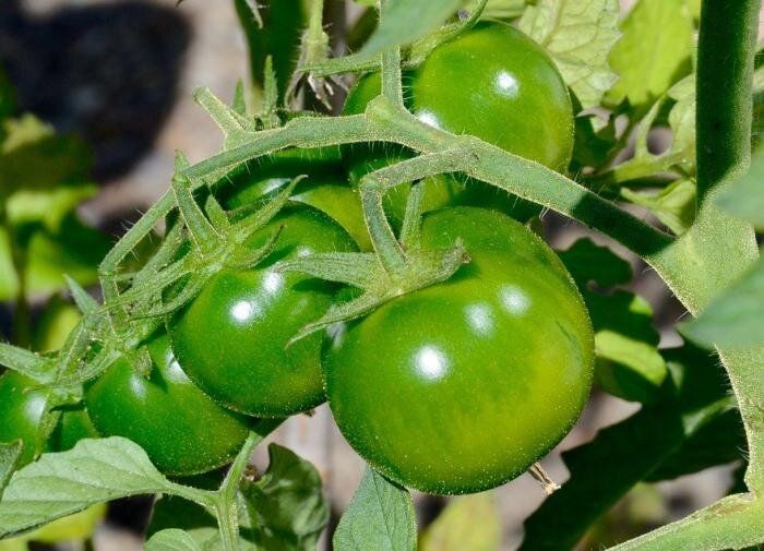 ��� ���������� � ������������ ������� �������: 7 ������� �������