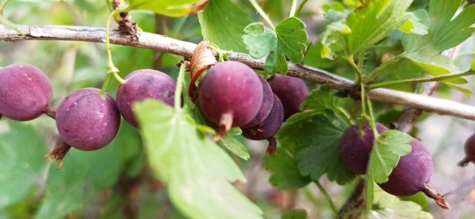 ��� ���� ��������� � ������ ������� � ���������� ������ ����������