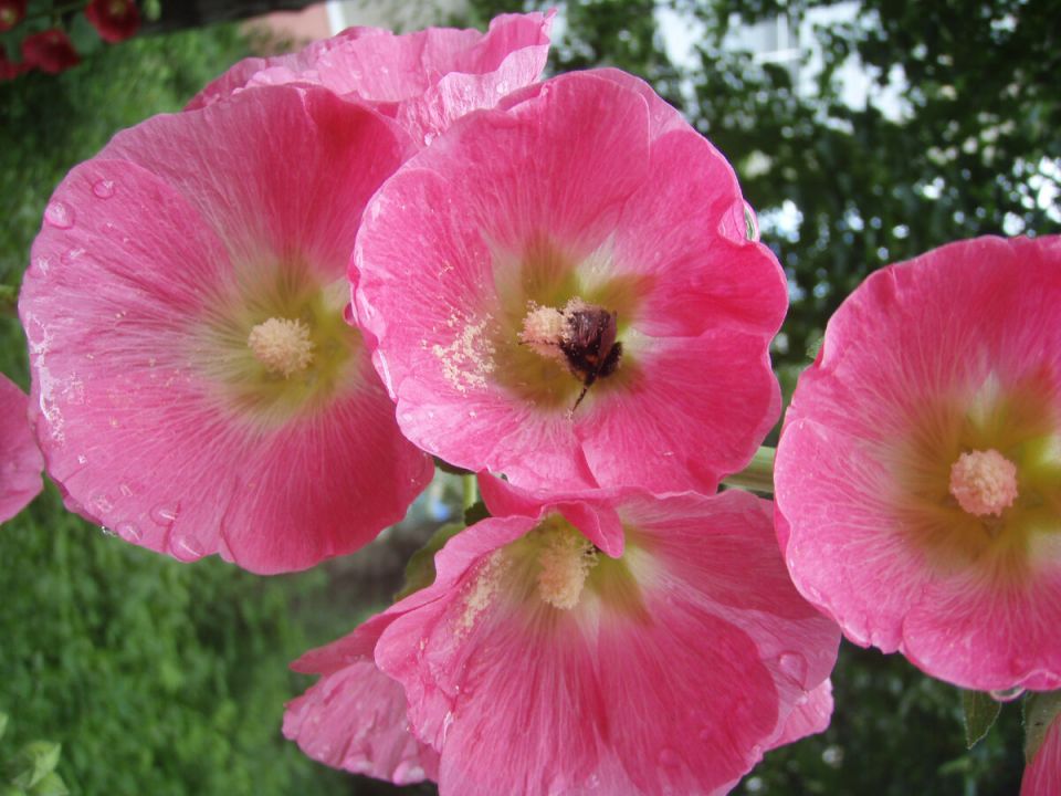 ���� � ��������� ����� ��� ������ ������ � ����